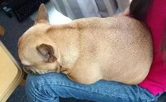 A片人澡C片人人妻